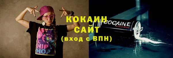 твердый Лабытнанги